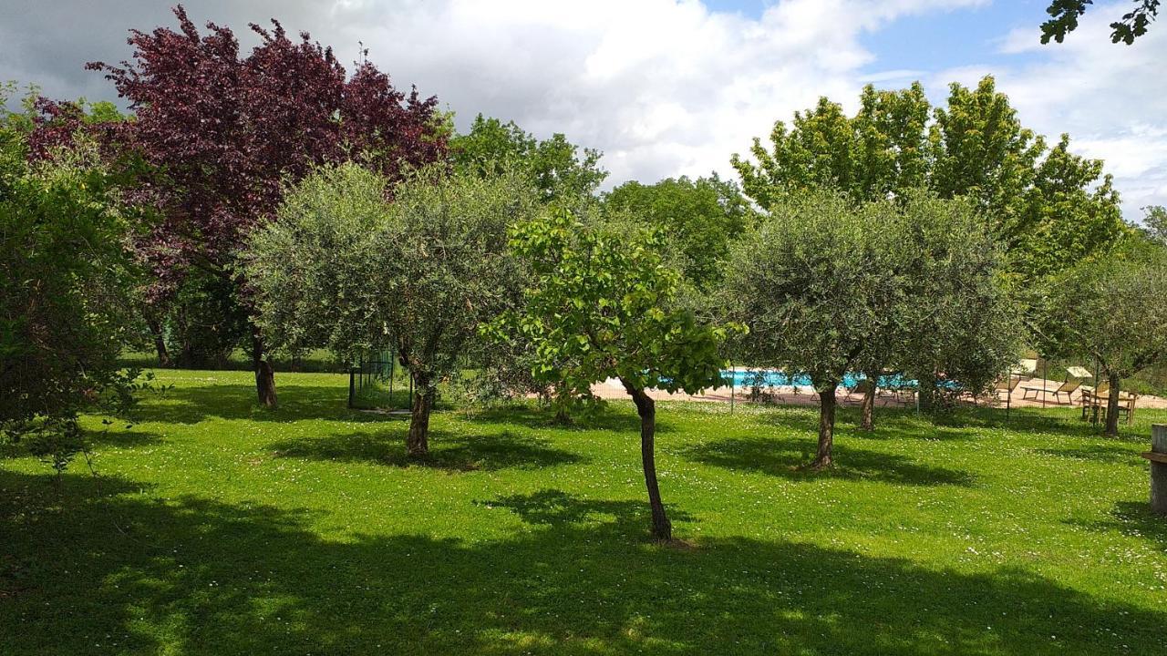 La Vecchia Fornace Cortona Exterior foto